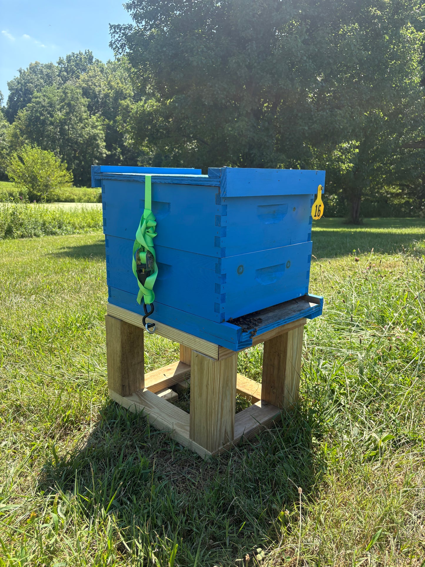 Single Hive Stand