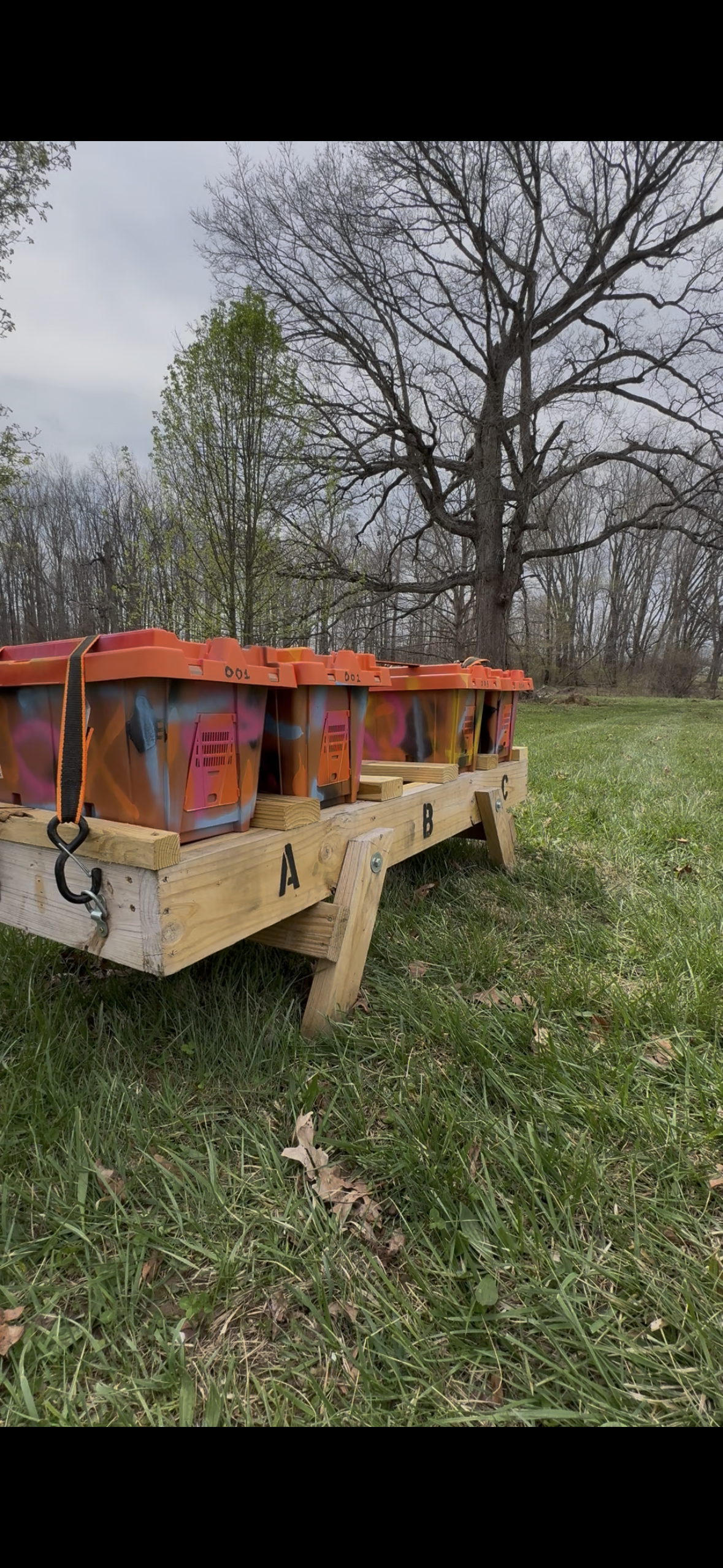 Fold-Up Hive Stand