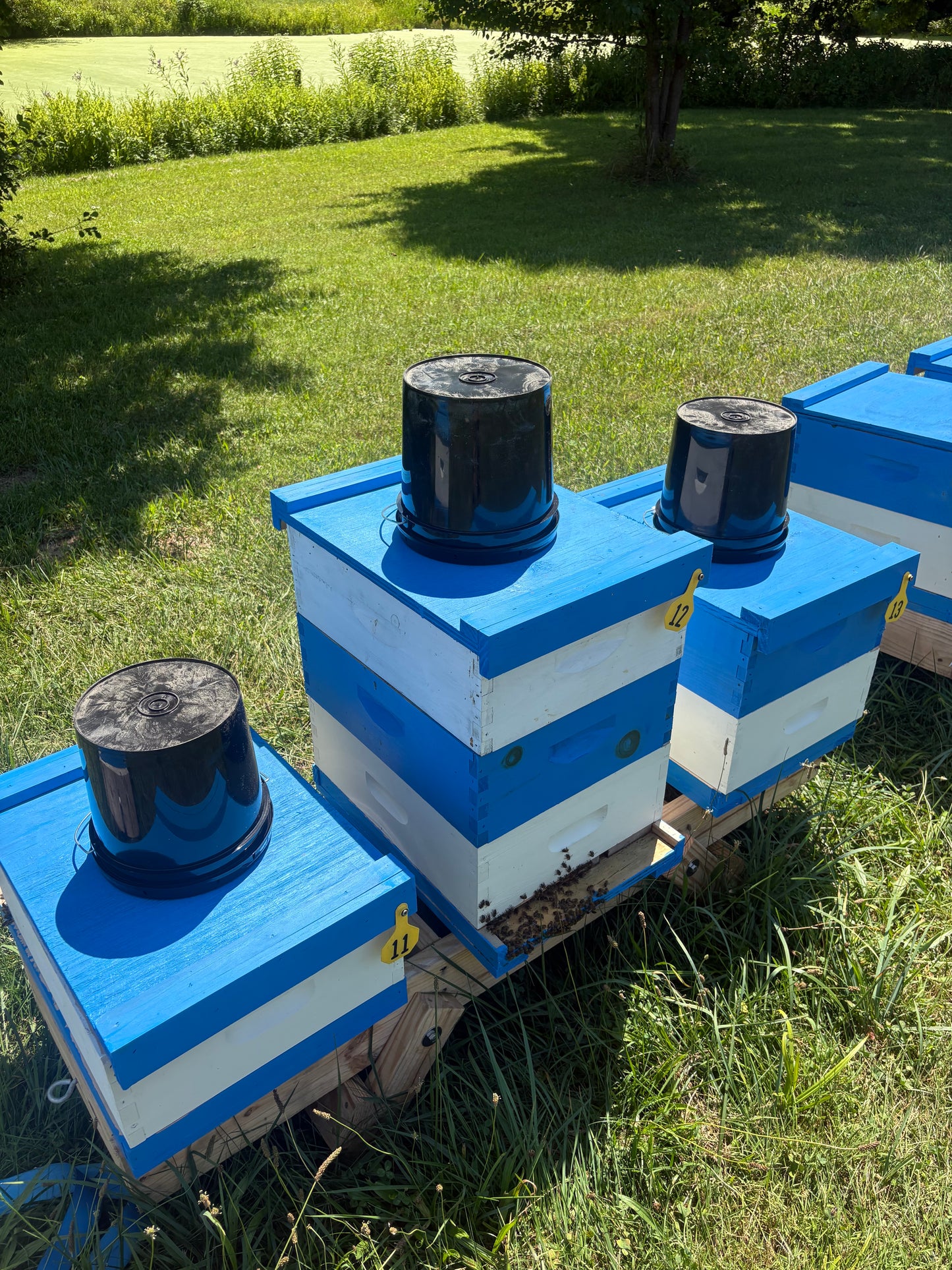 2 Gallon Bucket Feeder