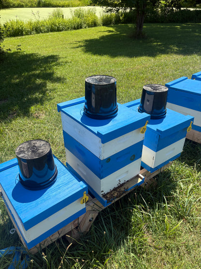 2 Gallon Bucket Feeder
