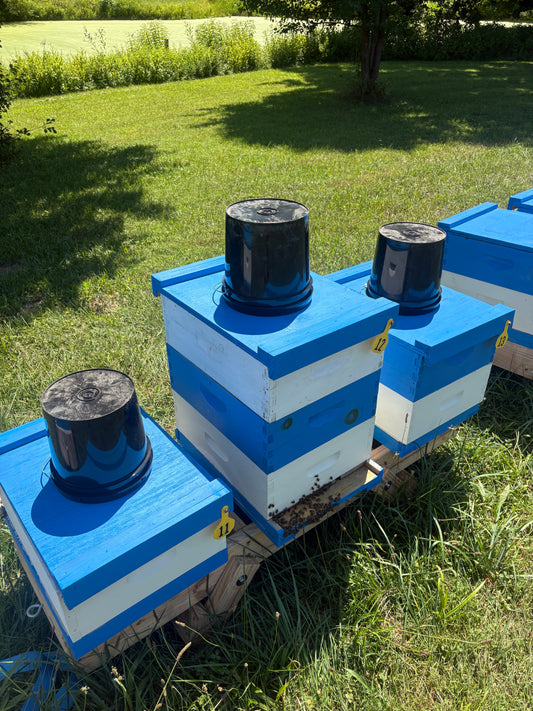 2 Gallon Bucket Feeder