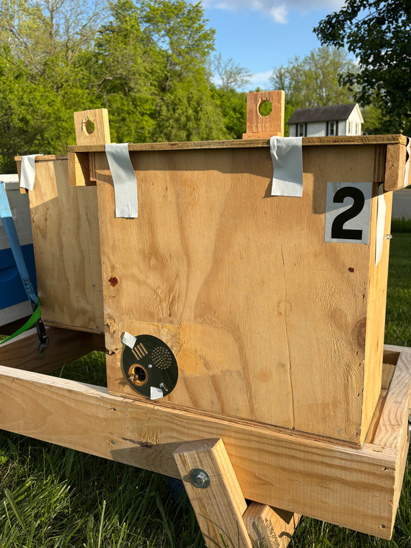 5 Frame Swarm Trap