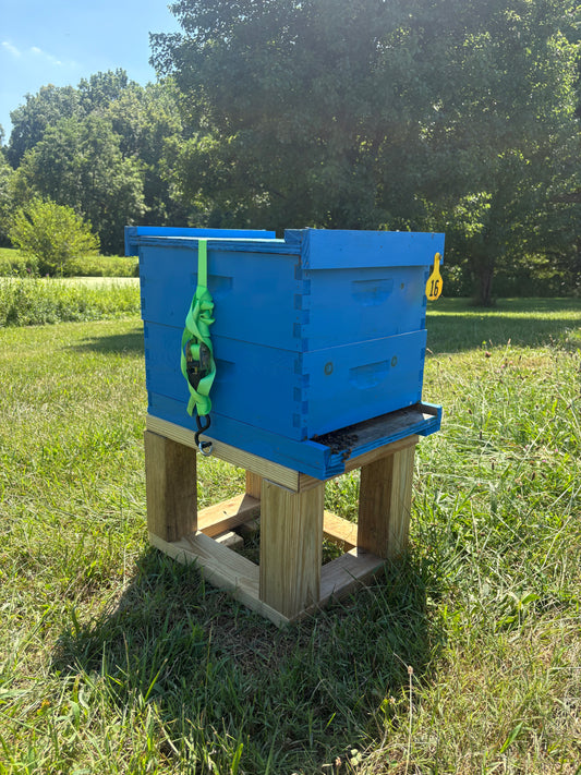 Single Hive Stand
