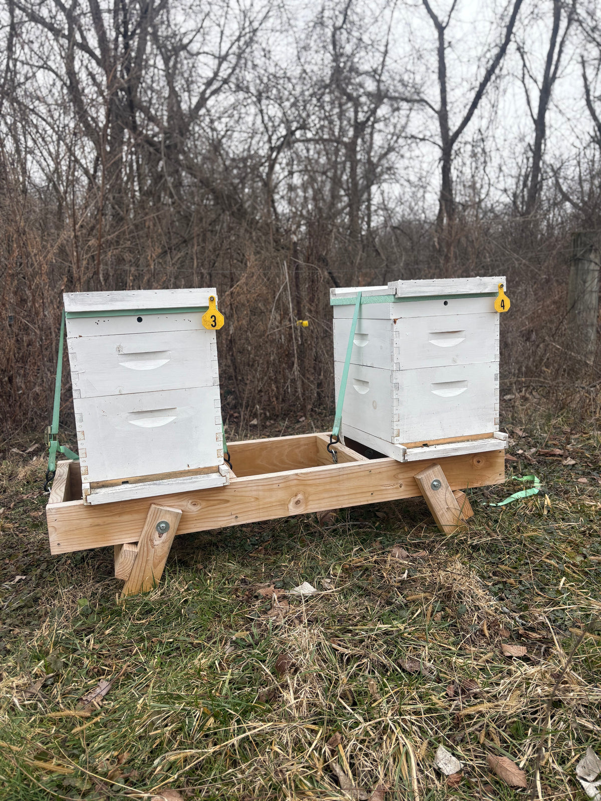 Fold-Up Hive Stand