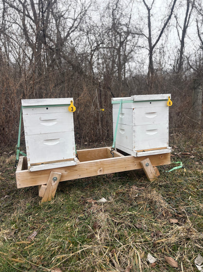 Fold-Up Hive Stand