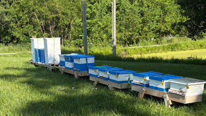 Fold-Up Hive Stand